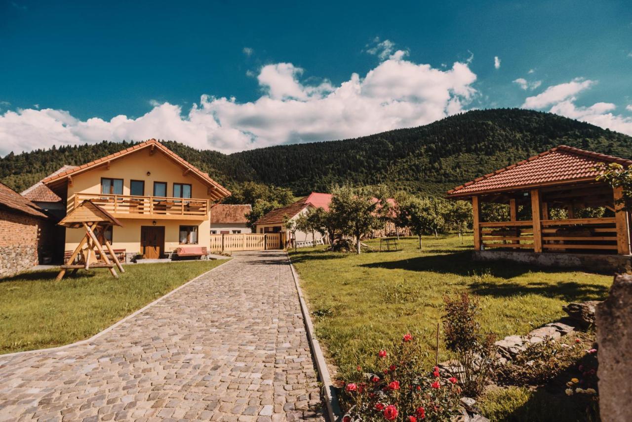 Casa Bunicilor Otel Nucsoara  Dış mekan fotoğraf