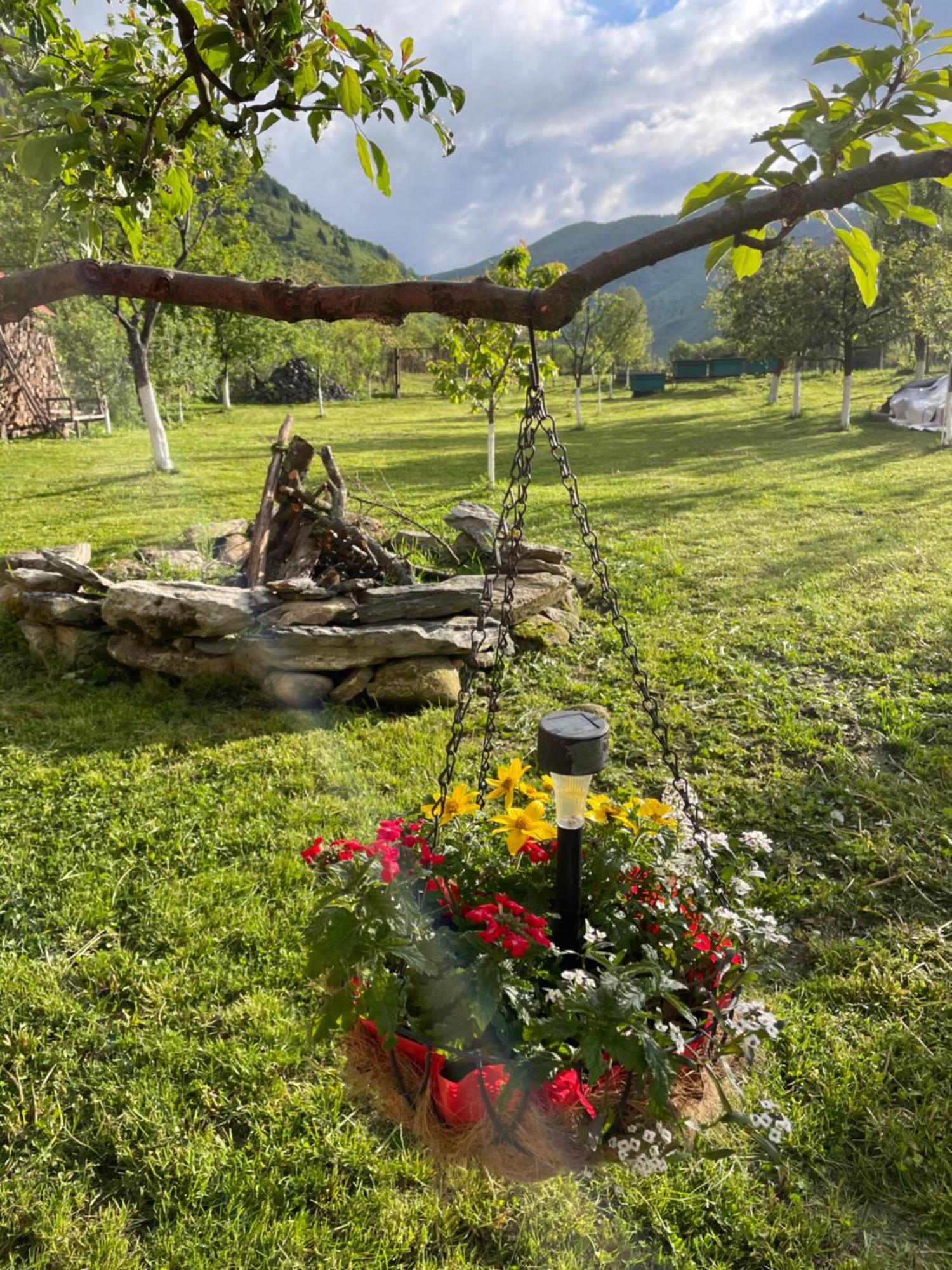 Casa Bunicilor Otel Nucsoara  Dış mekan fotoğraf